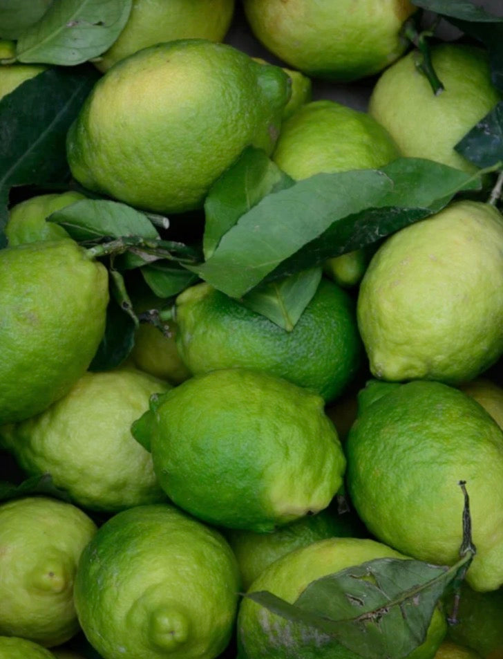 KojicGlow Face & Body Exfoliator